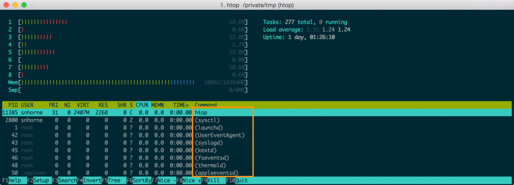 htop shows the process names in the rightmost column.