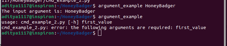 Error while using positional arguments