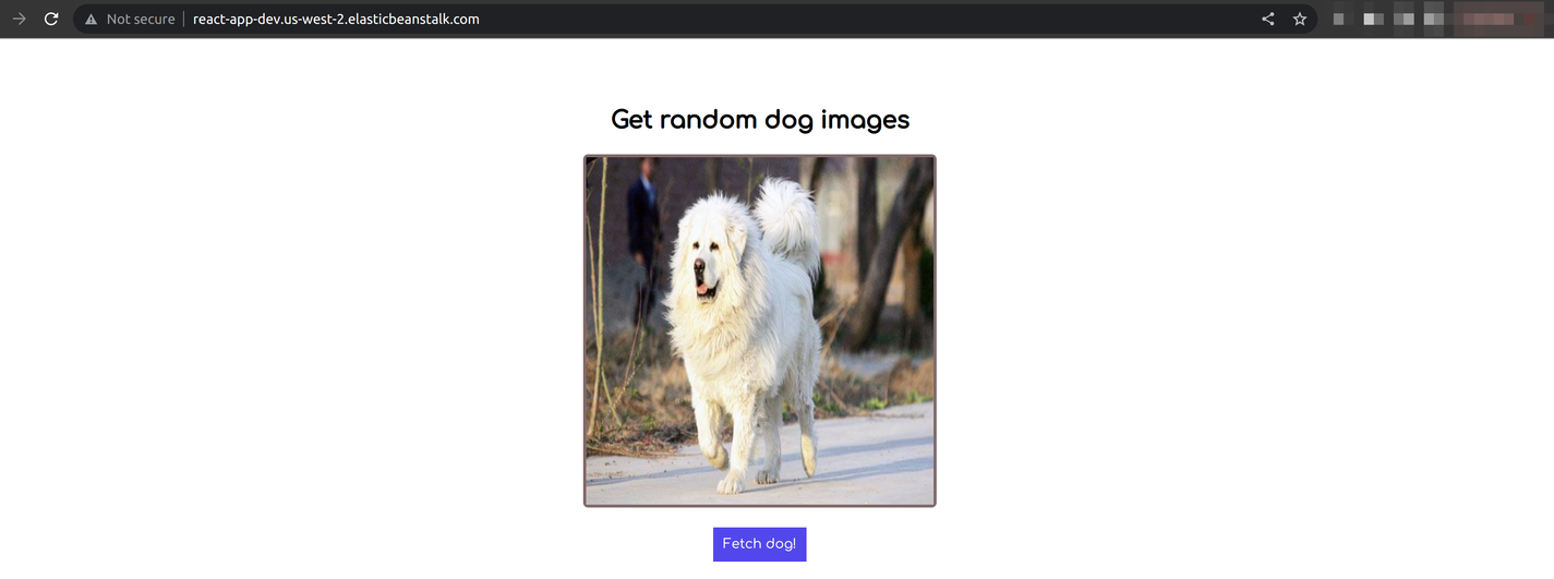 Viewing Dog-app application deployed with GitHub actions in the browser