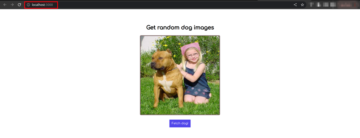 Image of React application Dog app on the browser