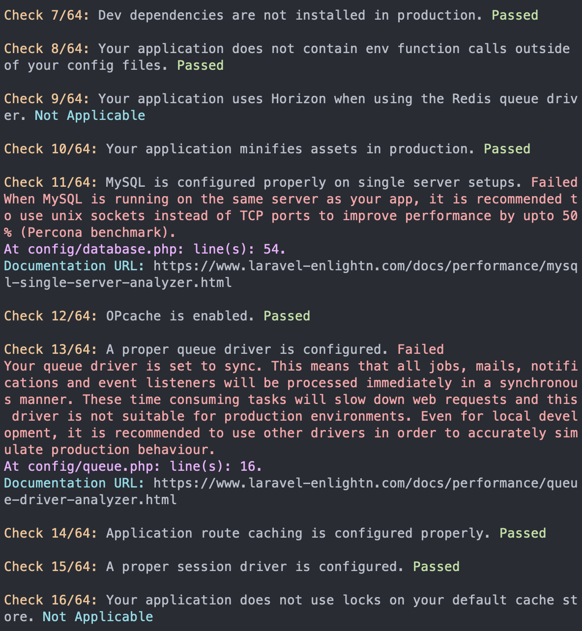 Enlightn issues displayed on the terminal