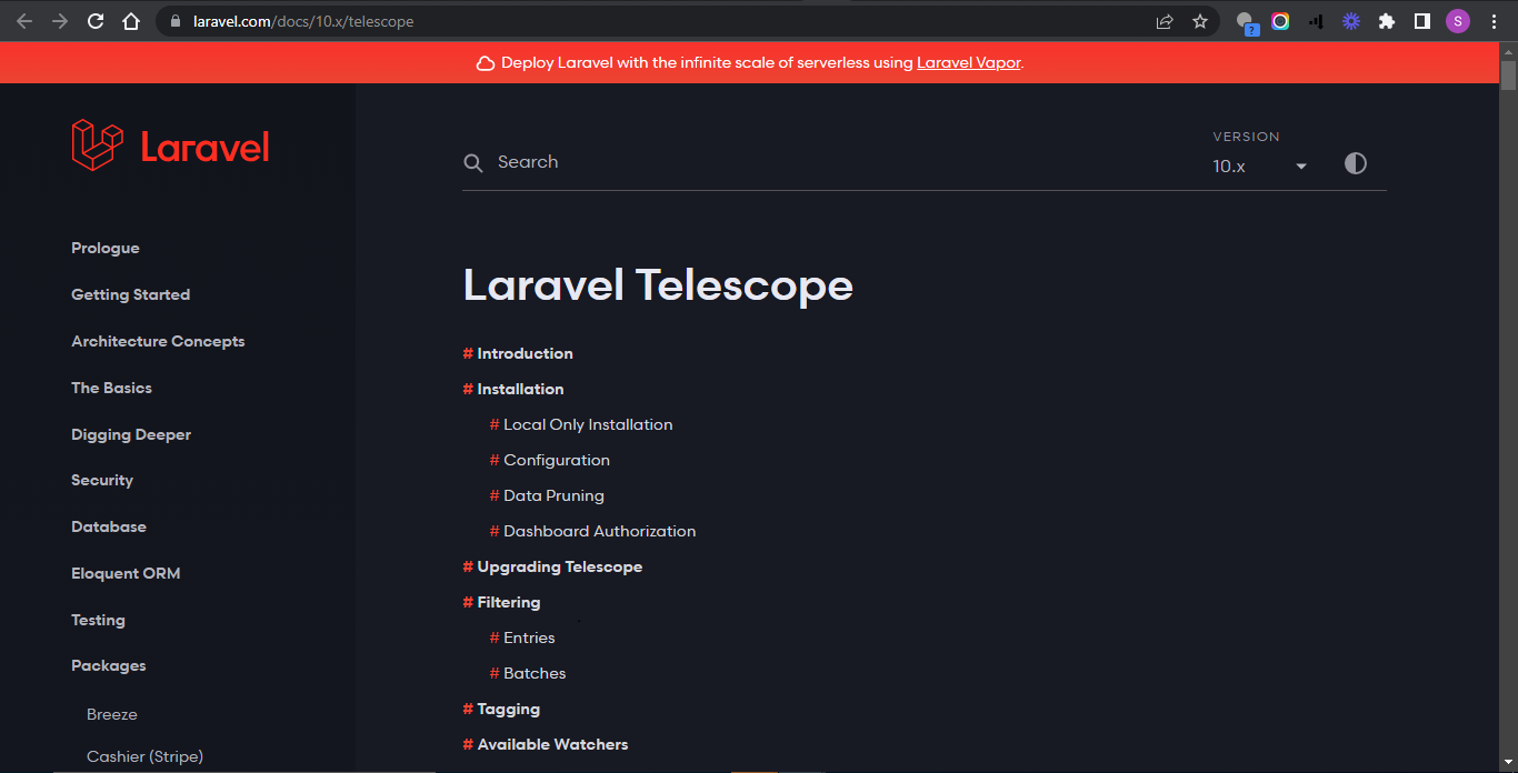 Telescope, Laravel's built-in profiler that helps to monitor your application's performance