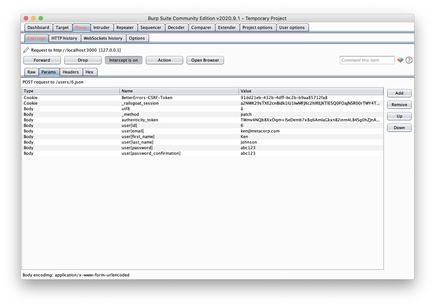 Burp Suite Tool - Params Tab